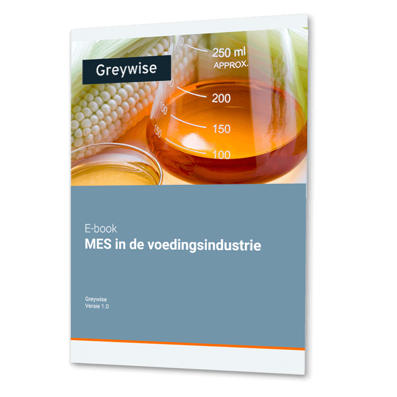 E-book Manufacturing execution system MES in Food