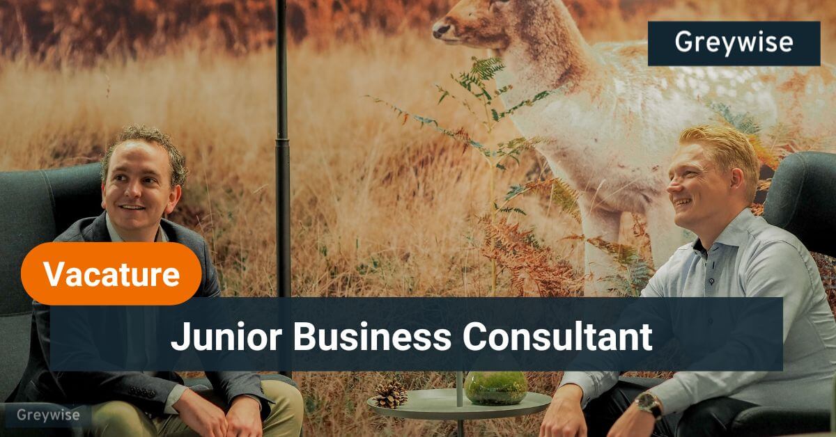 Junior business consultant