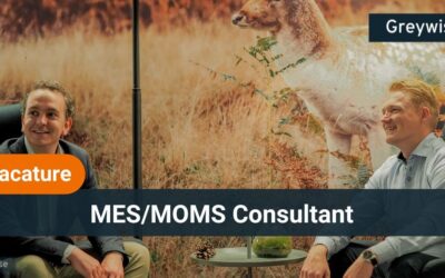 Vacature MES/MOMS Consultant