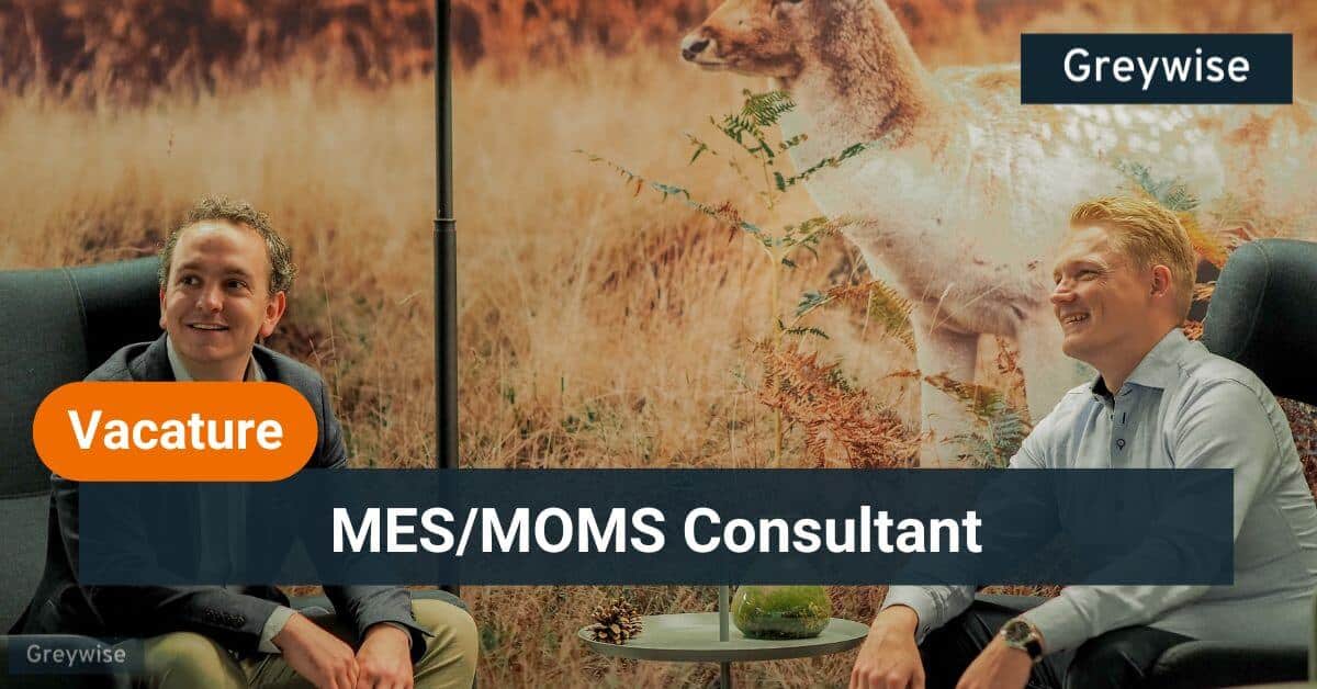 MES/MOMS consultant