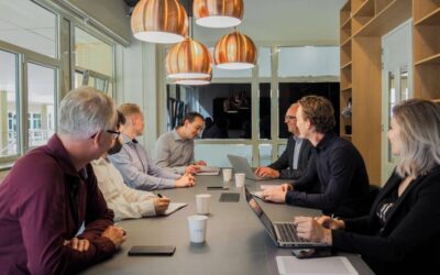 De rol van de system integrators