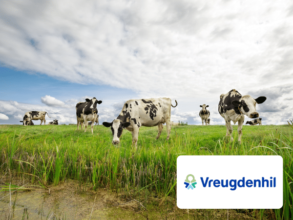 Vreugdenhil MES