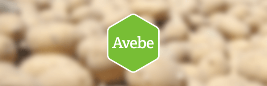 Avebe Avebe banner Greywise