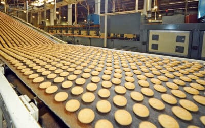 Het vaststellen van het productieproces